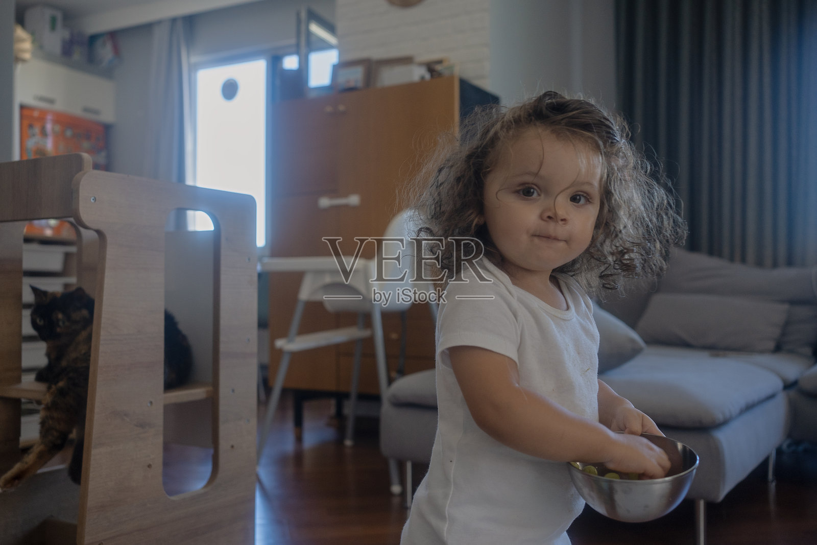 可爱卷发小女孩在客厅里抱着水果碗，旁边还有宠物猫照片摄影图片