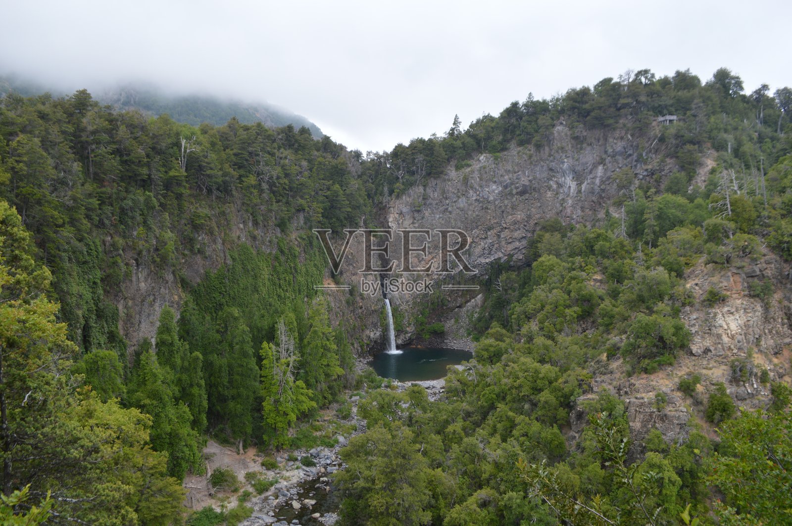 母狮在拉达尔七杯国家公园跳跃照片摄影图片