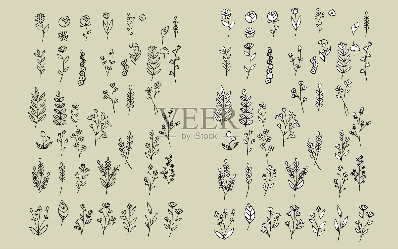 手绘植物元素套装插画图片素材