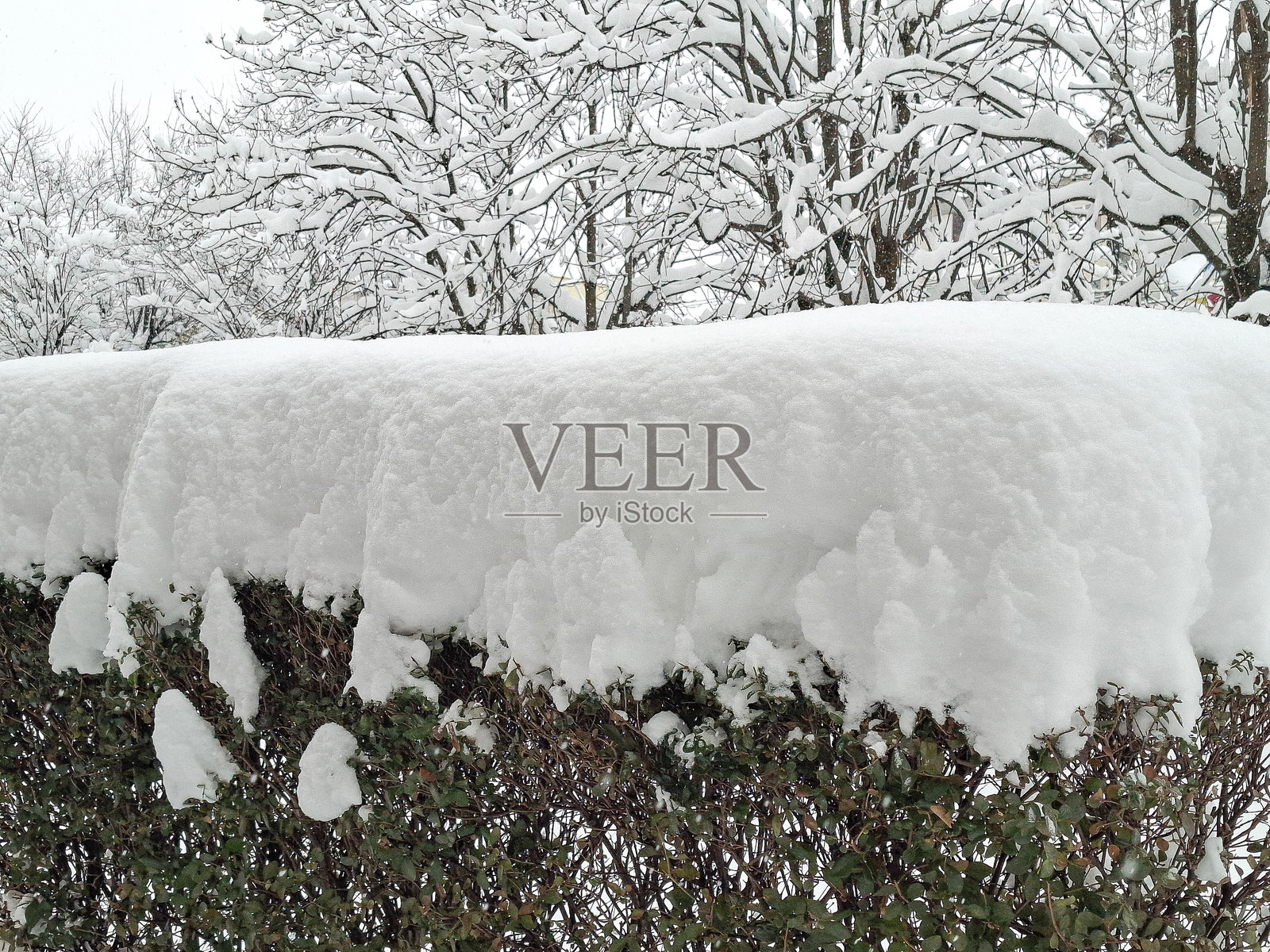 罗马尼亚冬日雪景。照片摄影图片