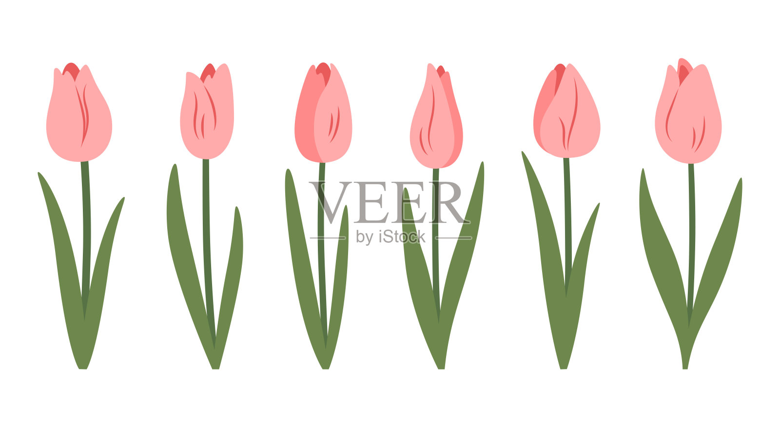 粉色郁金香套装。春季花卉系列，包含适合母亲节、妇女节或郁金香日装饰的美丽花朵。矢量插画。插画图片素材