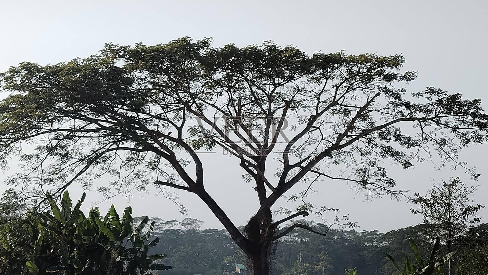 好地方照片摄影图片