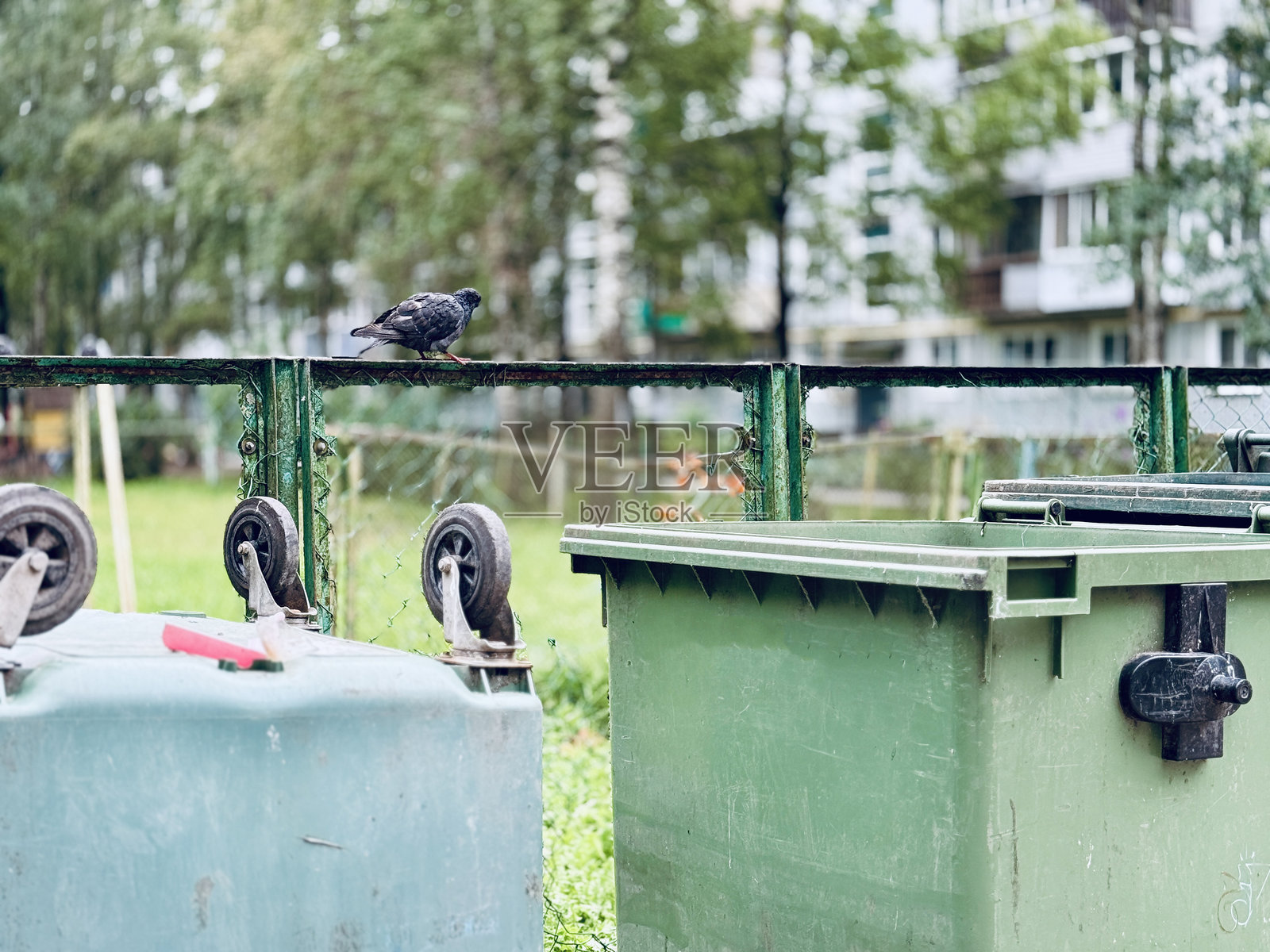 城市垃圾遍地，混乱的城市环境，散落着碎片和飞鸟，杂乱的城市景观，垃圾散落，鸟群飞过照片摄影图片
