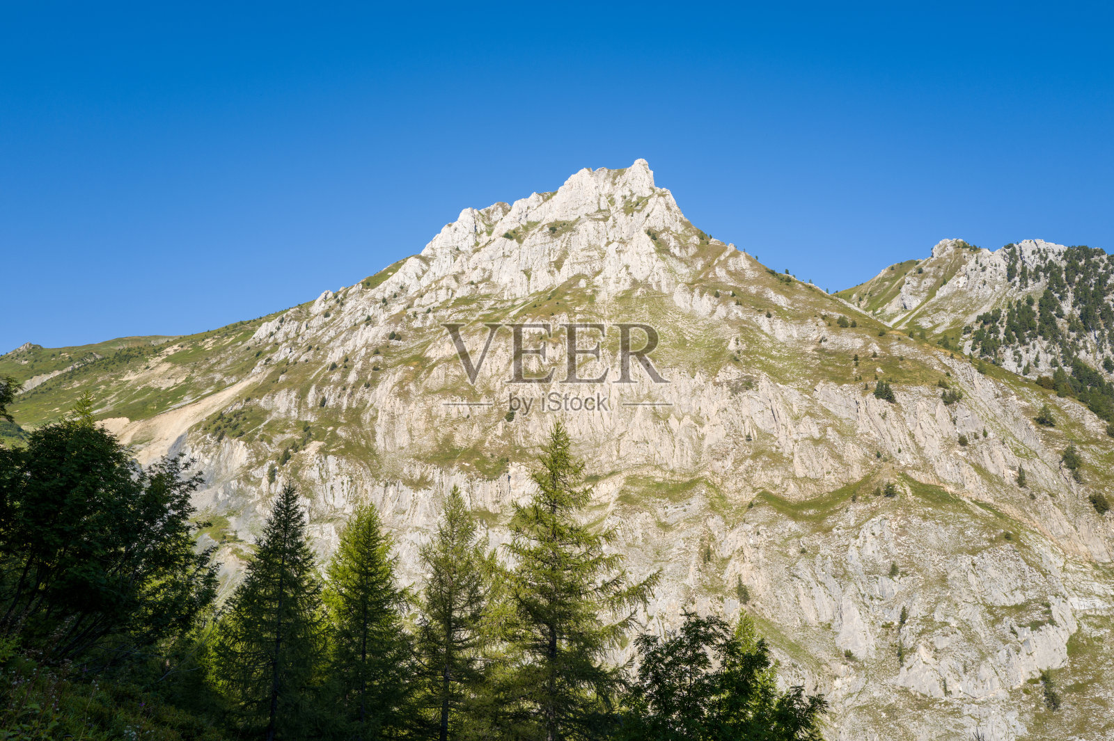 高耸的锯齿状石灰岩山峰，坐落在高山森林之上照片摄影图片