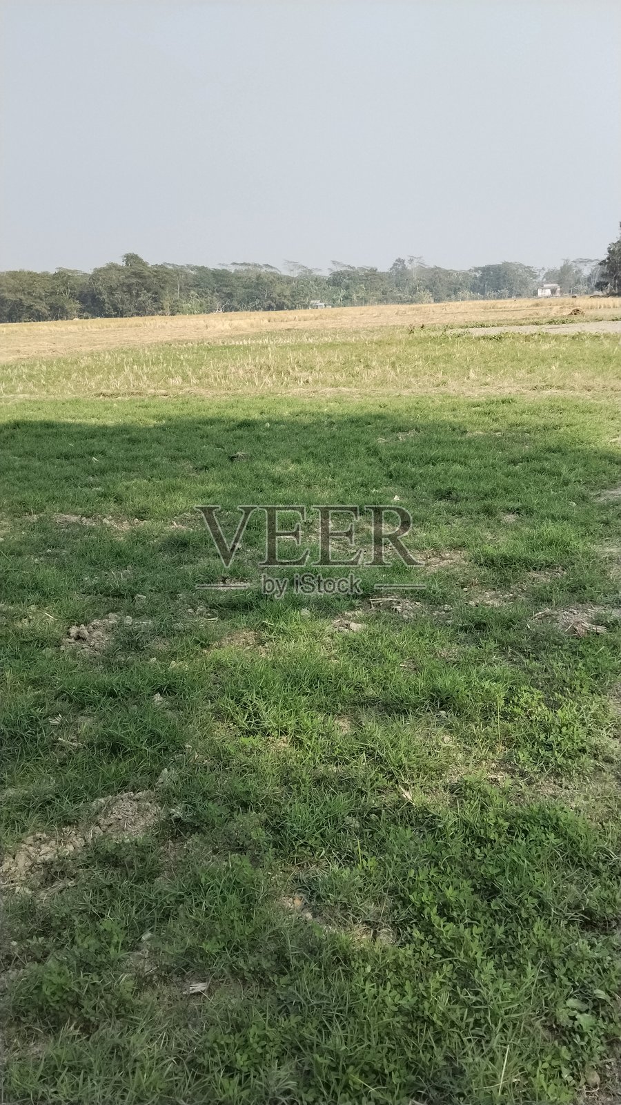 绿色视野照片摄影图片