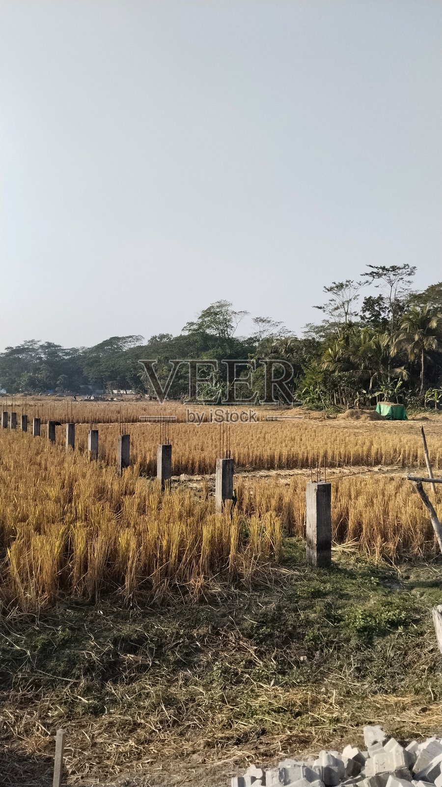 好地方照片摄影图片