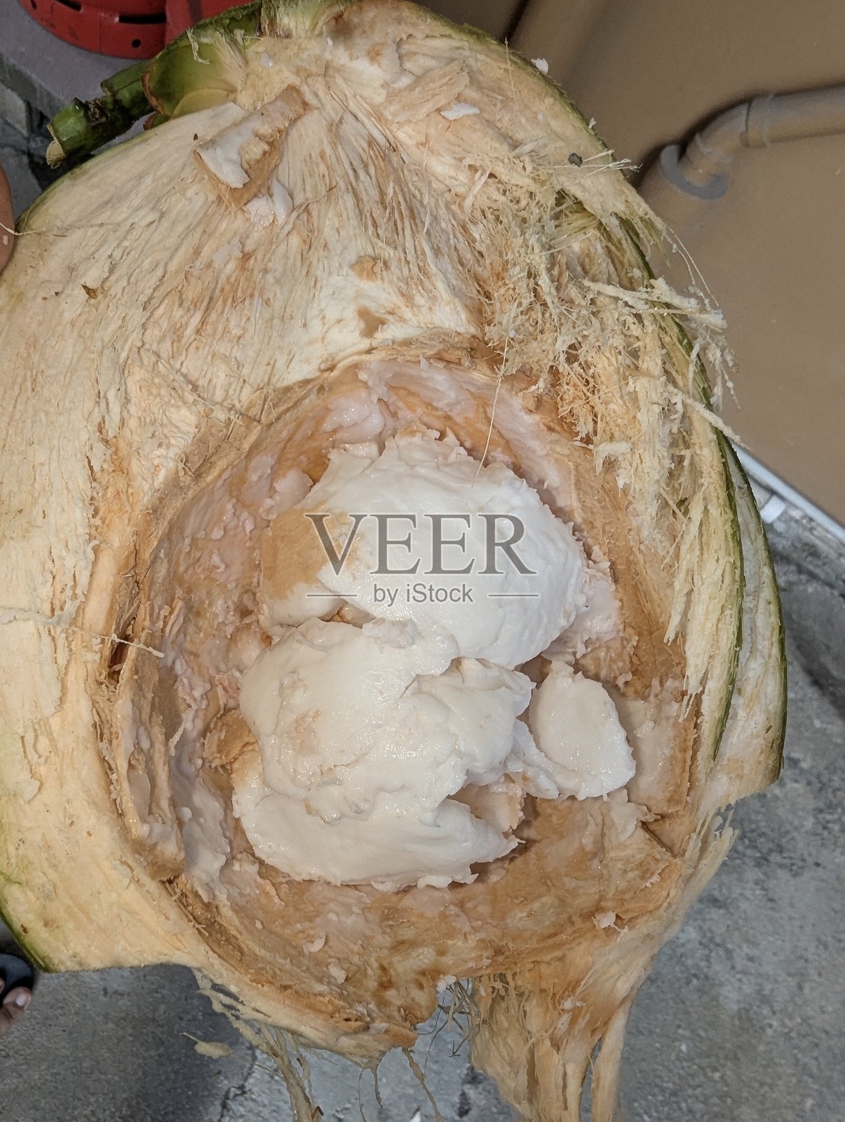 椰子照片摄影图片