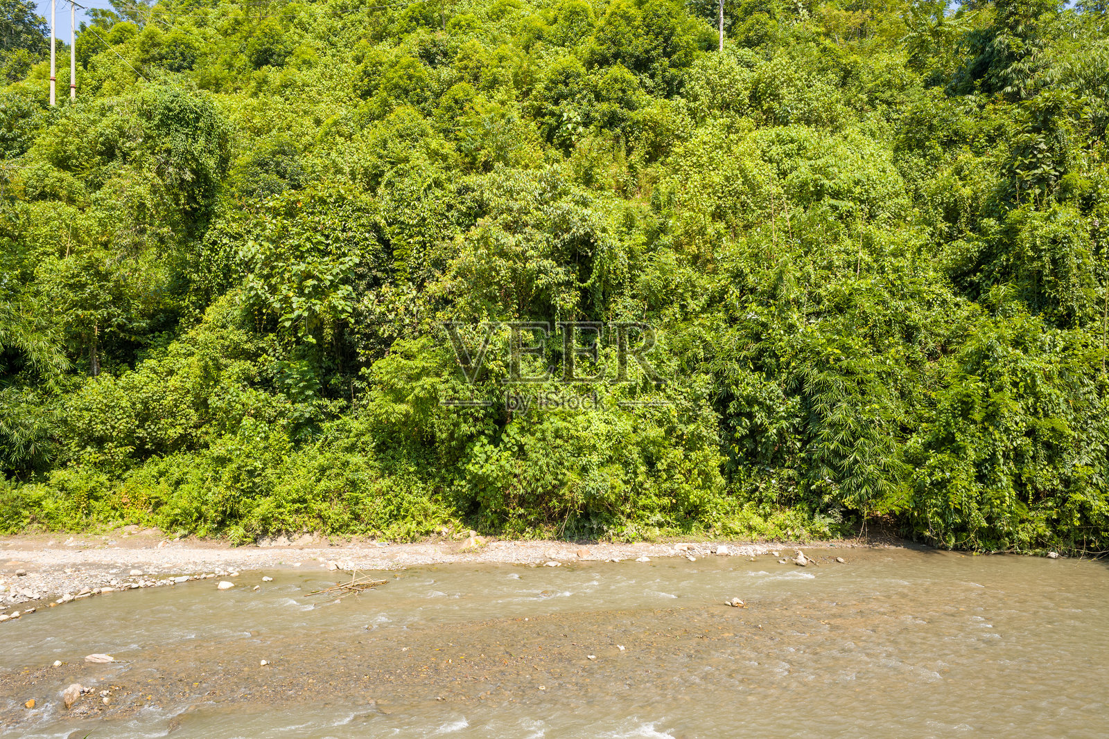 Dense jungle hillside above rocky river Vietnam照片摄影图片