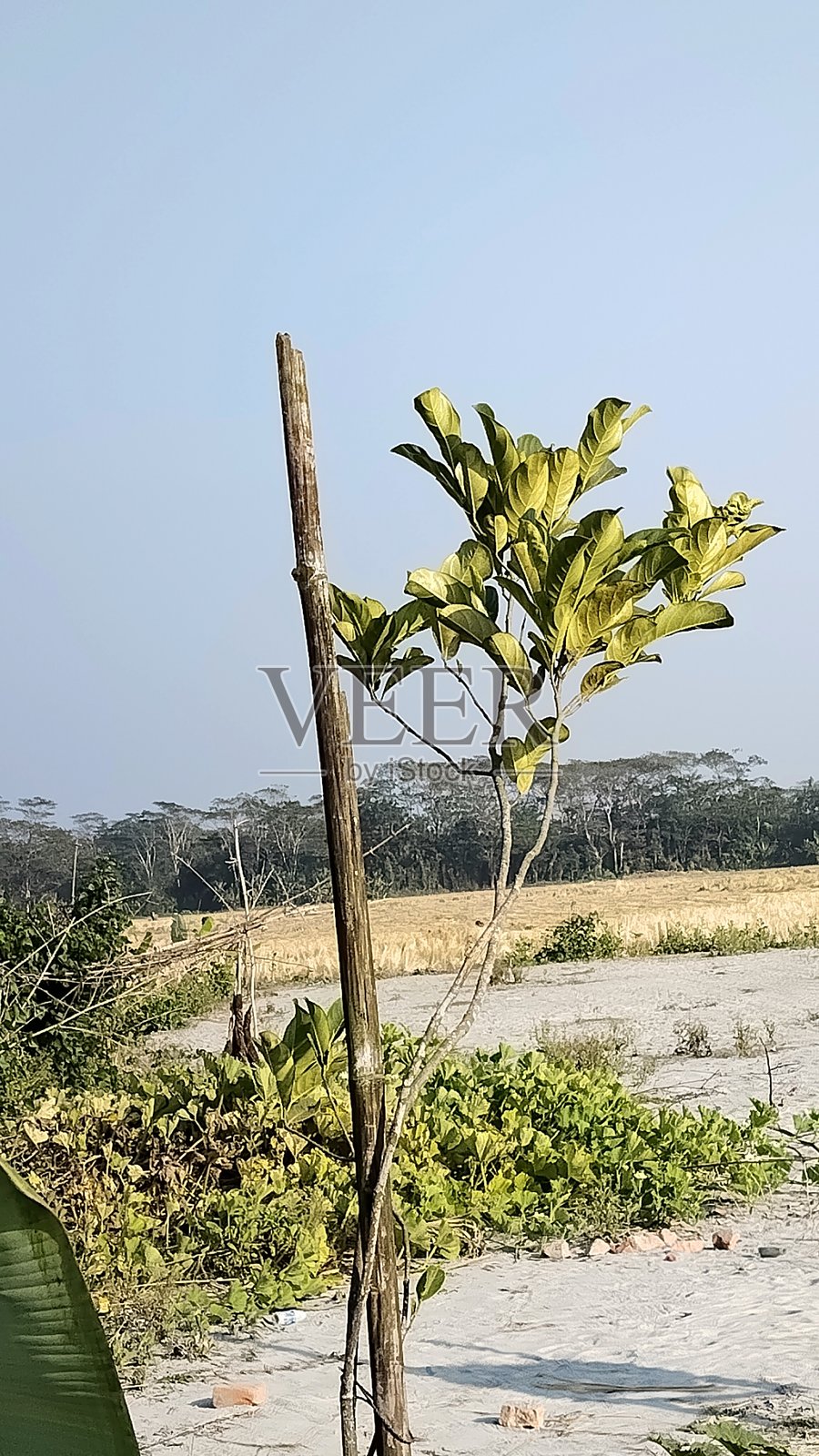 好地方照片摄影图片