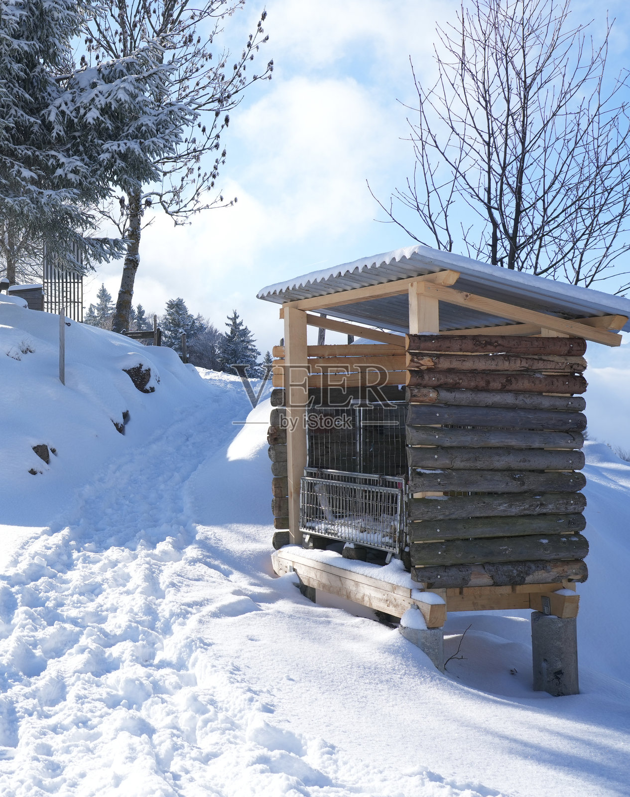 带斜屋顶的木制储藏棚，四周是覆盖着雪的地面和树木，营造出宁静祥和的冬日景观照片摄影图片