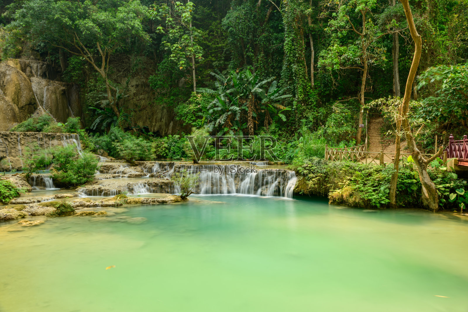 老挝光西瀑布的葱郁水潭照片摄影图片