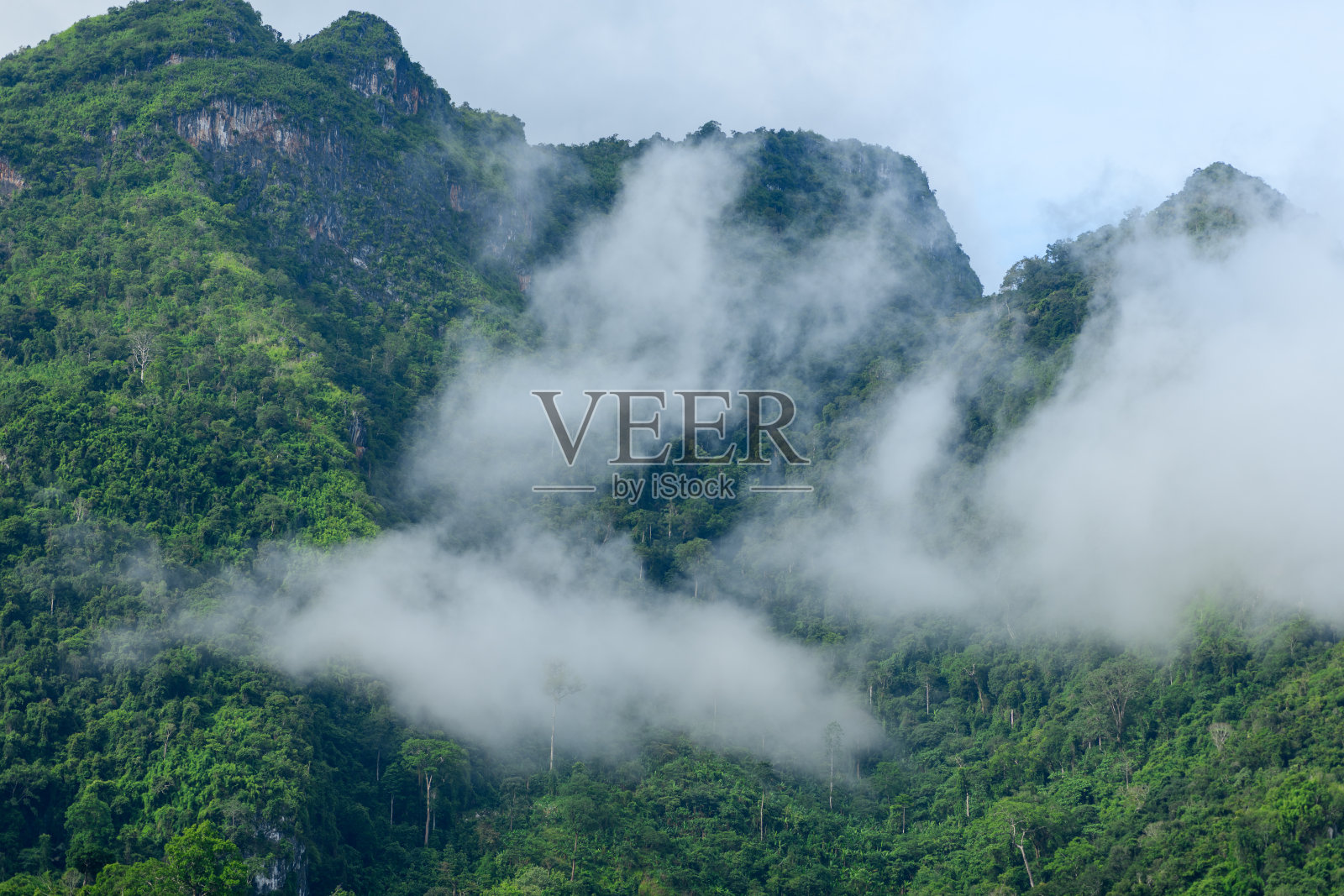 老挝绿色山坡上的薄雾照片摄影图片