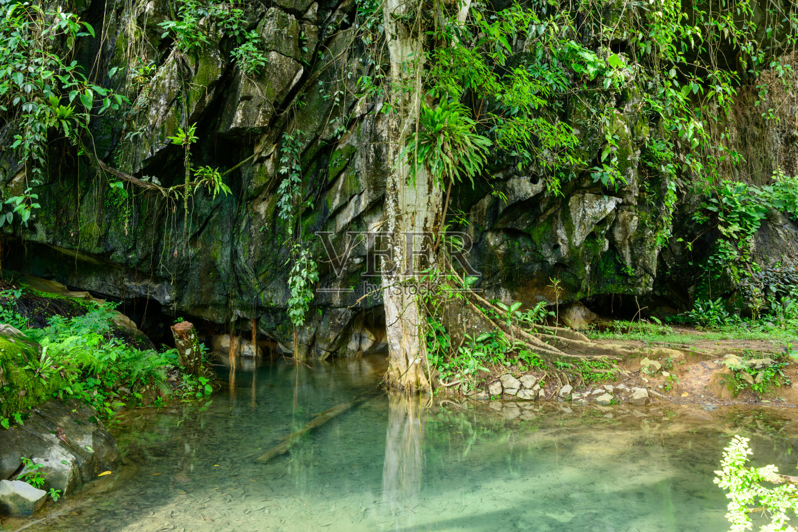 琅勃拉邦石灰岩悬崖边的清澈泉水照片摄影图片