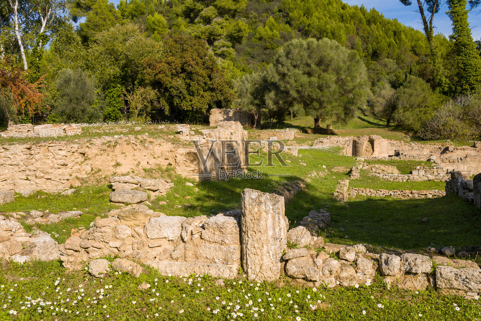 奥林匹亚古普塔尼翁遗址在阳光下照片摄影图片