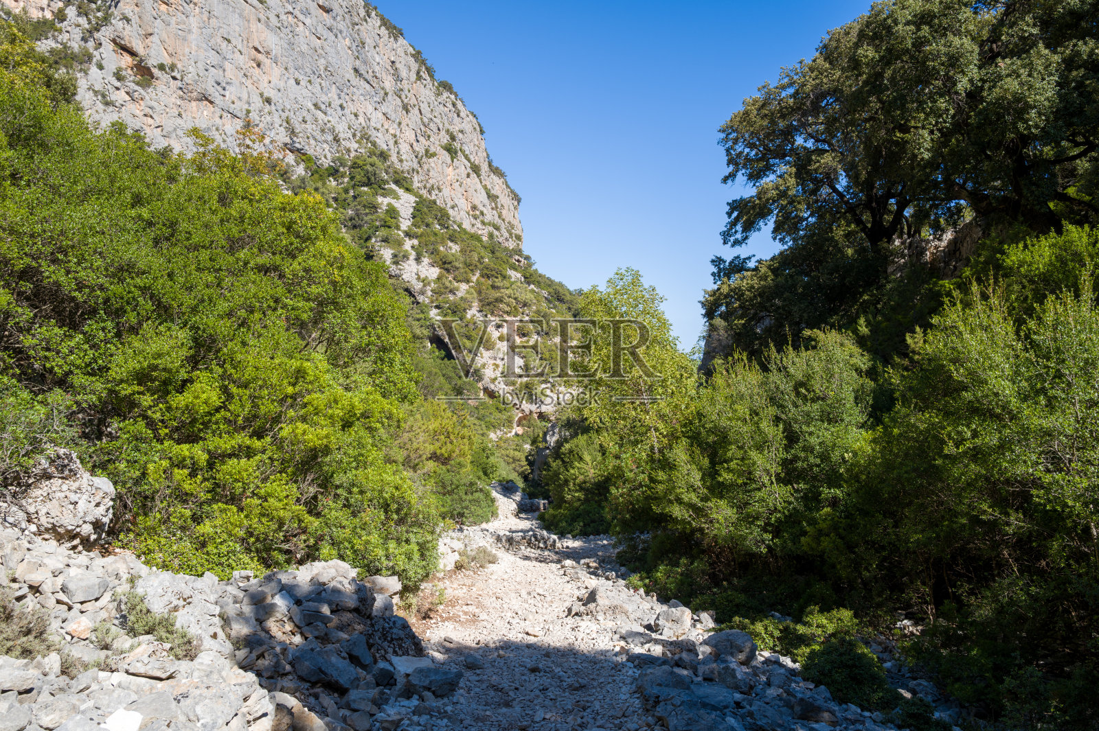 撒丁岛石质峡谷小径，绿意盎然照片摄影图片