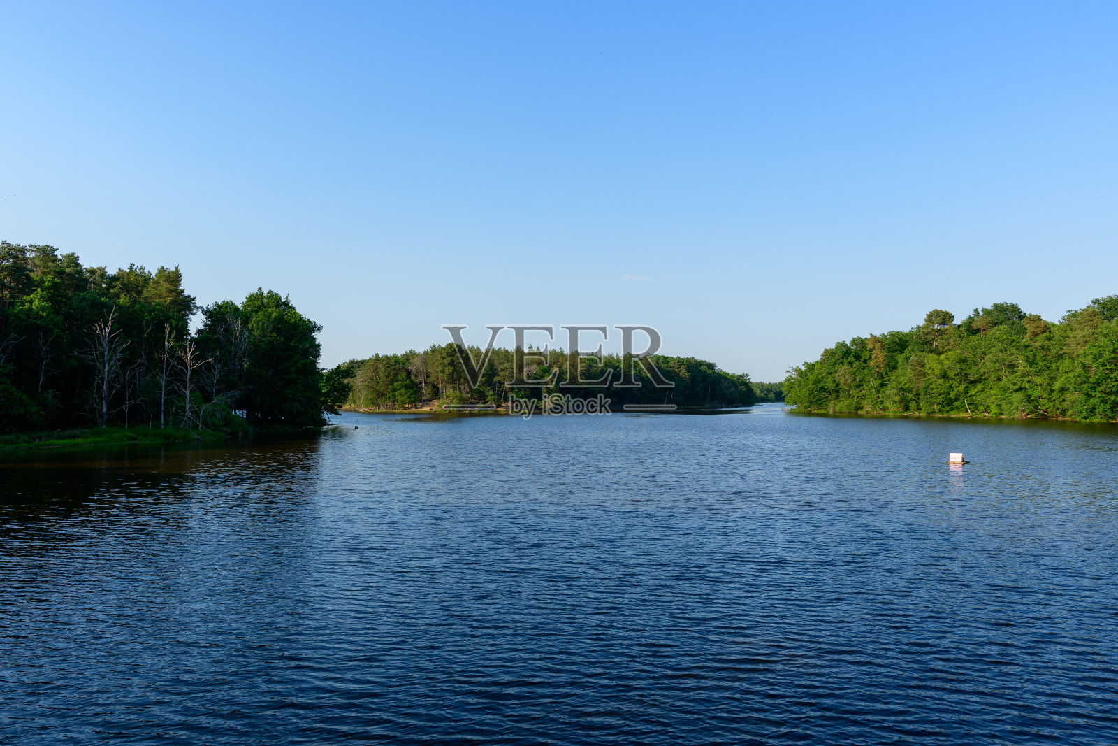 宁静的夏日湖泊，两岸绿树成荫照片摄影图片