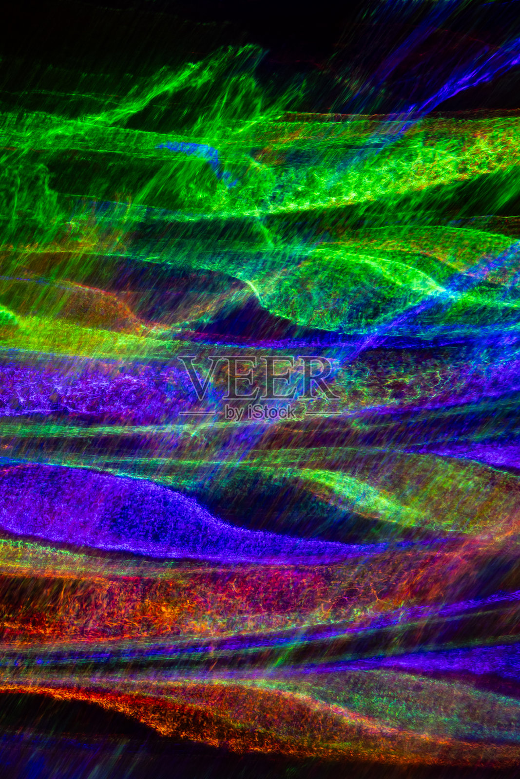 圣诞节的电动混乱照片摄影图片