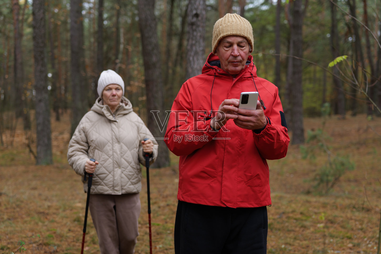 一名男子在森林里边走边看手机，身旁有一位女士拿着登山杖。他们正在探索被秋天树木环绕的区域。照片摄影图片