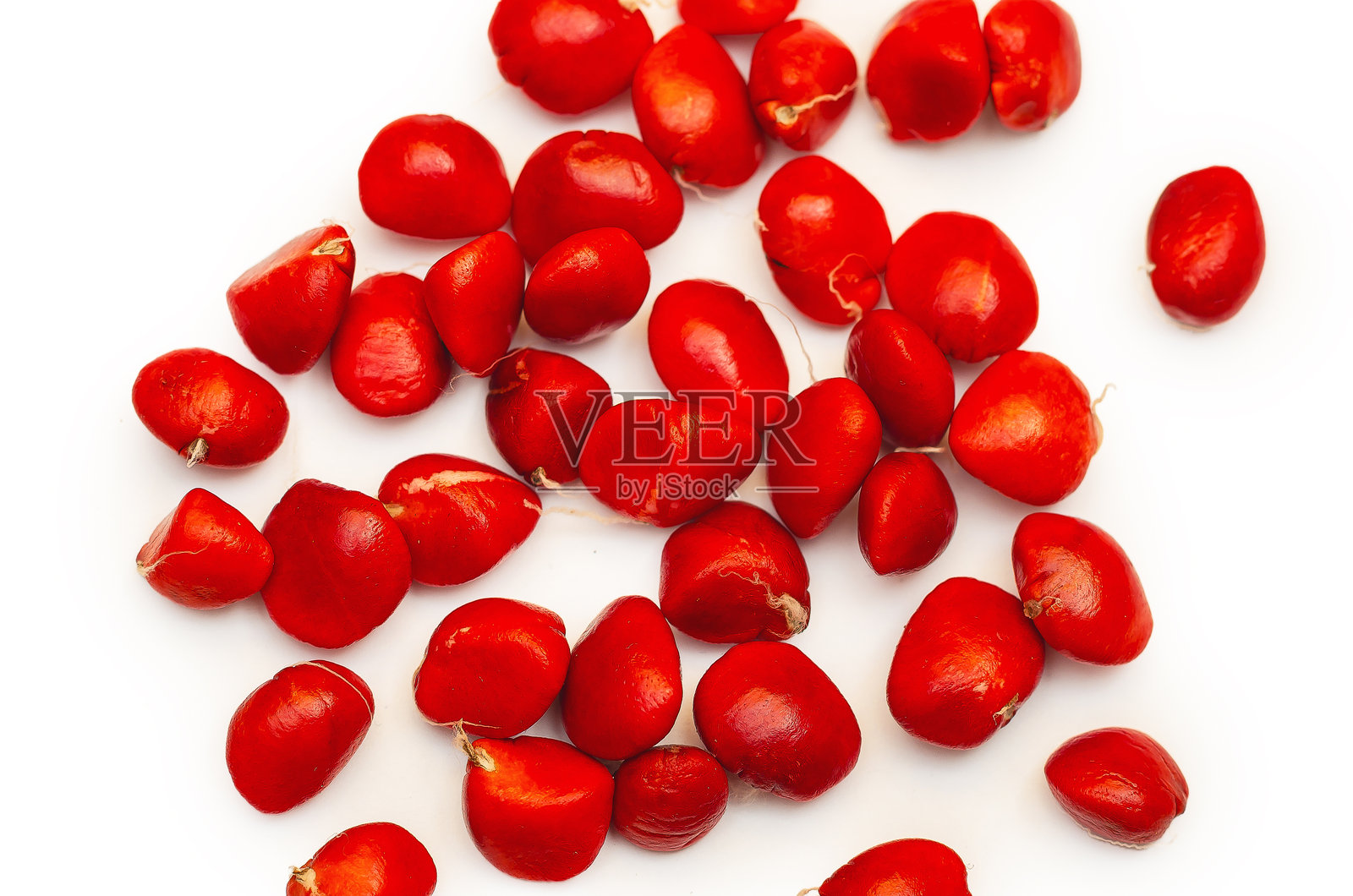 一堆干燥的红色木兰种子。散落的干燥木兰浆果特写在白色背景上。照片摄影图片