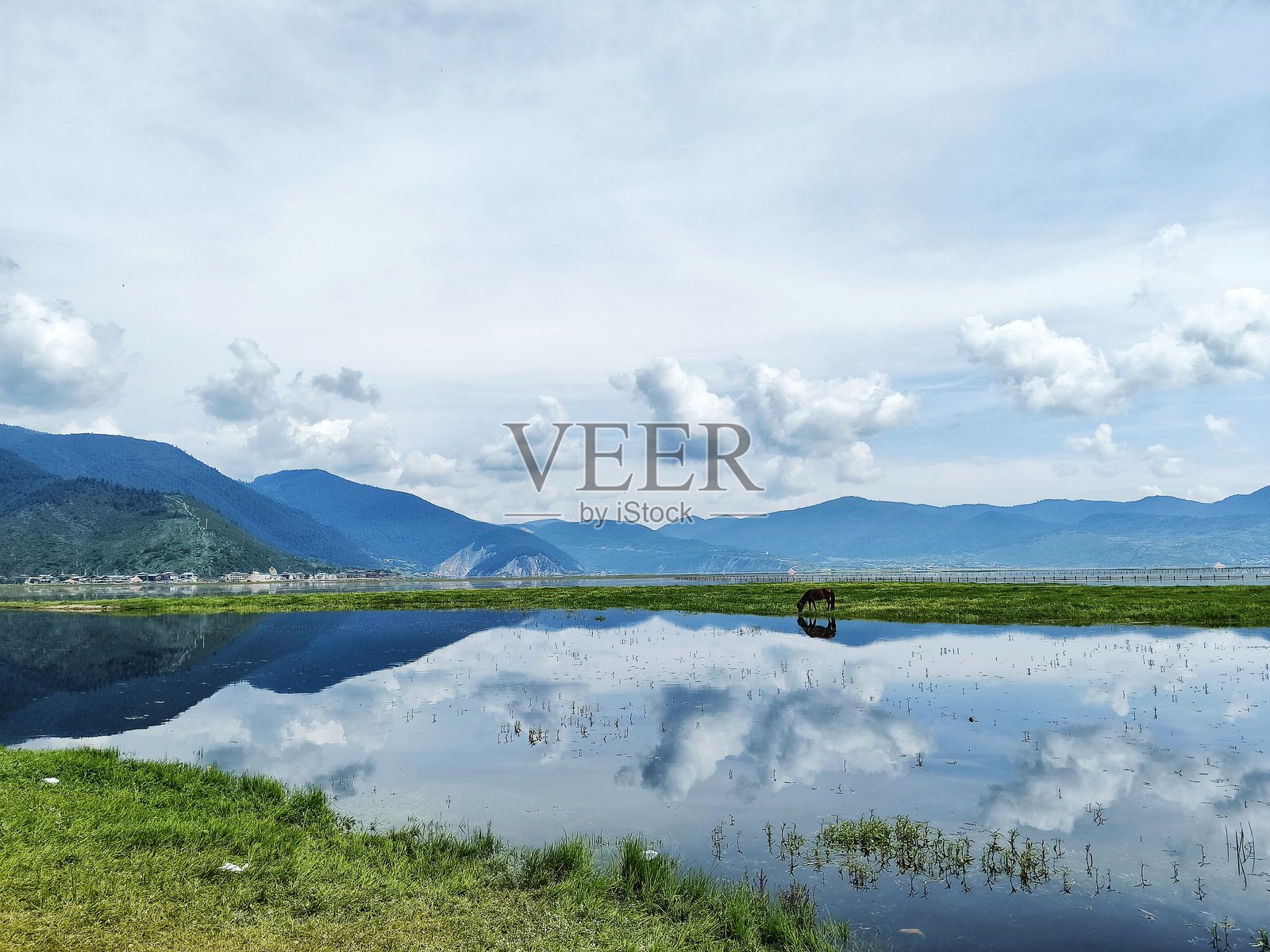 中国云南省香格里拉的纳帕海湖景照片摄影图片