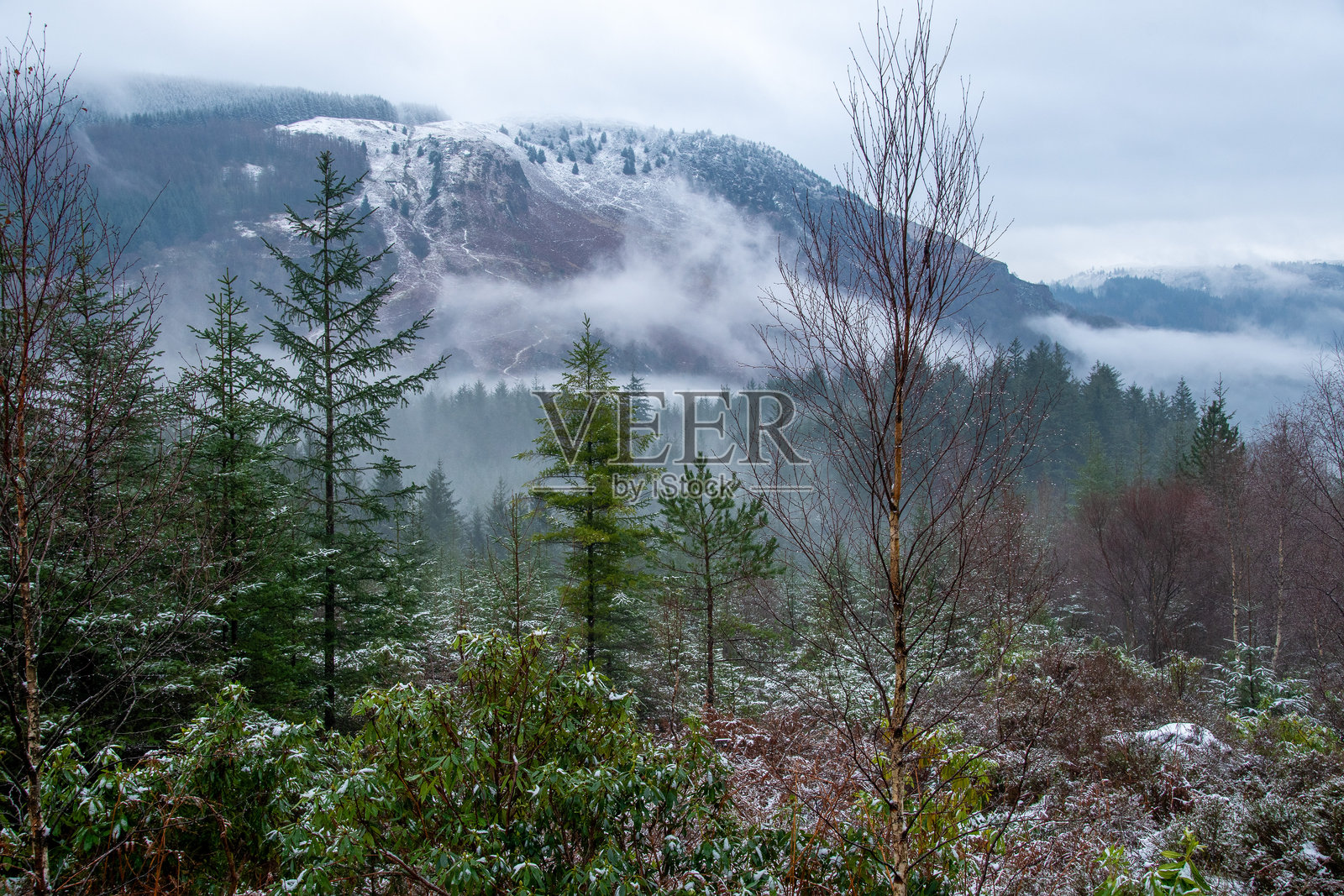 苏格兰风光照片摄影图片