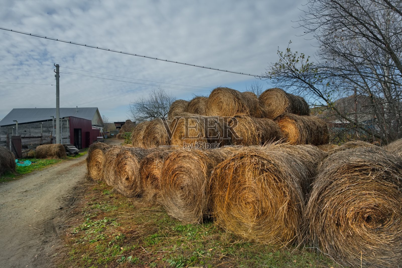 庄园里的干草捆照片摄影图片