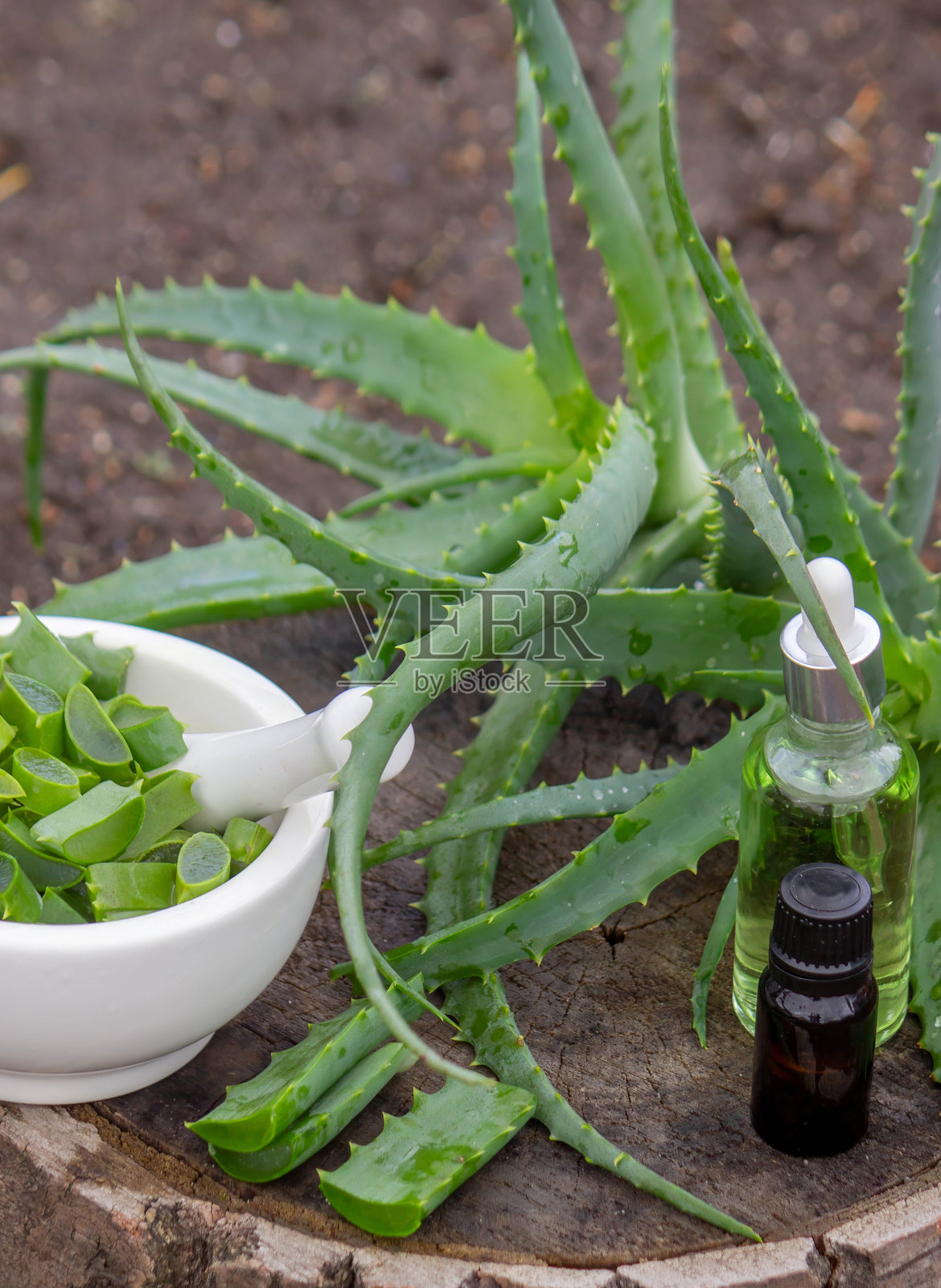 精油瓶与新鲜芦荟叶。天然有机化妆品照片摄影图片