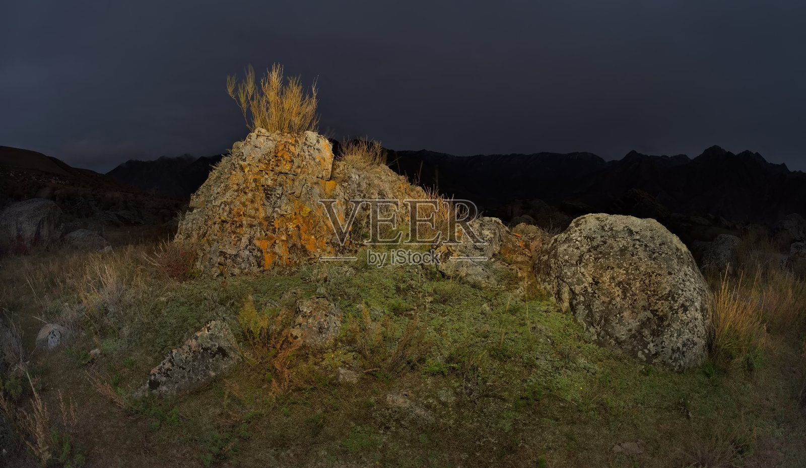 阿尔泰山上的满月之夜照片摄影图片