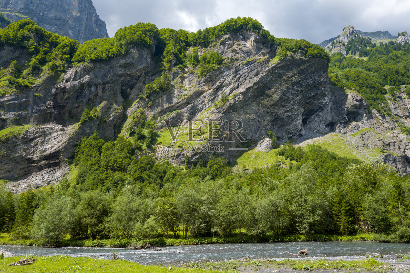 葱郁的高山森林上方的陡峭石灰岩壁照片摄影图片