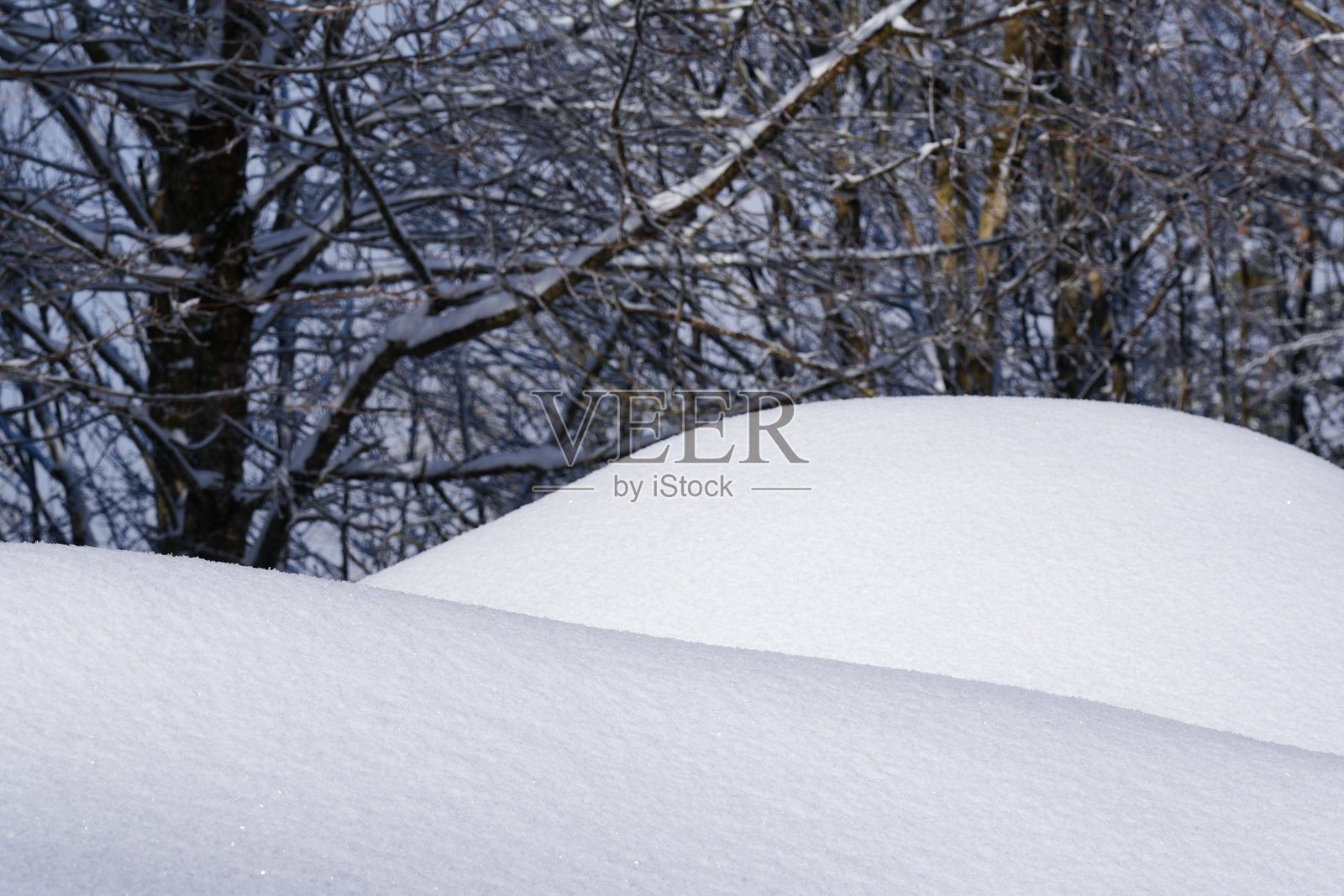 白雪皑皑的山丘覆盖着雪，周围是光秃秃的树木，在柔和的阳光透过树枝的照射下，营造出宁静祥和的冬日景象。照片摄影图片