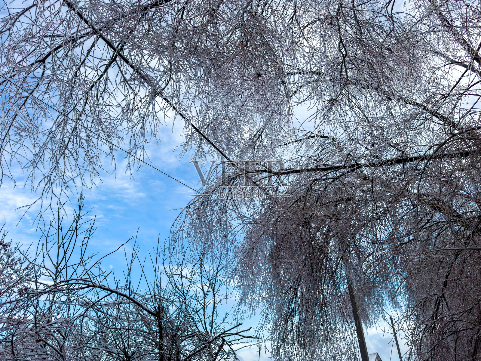 冰雹导致电力线路故障，树枝掉落在线路上。照片摄影图片