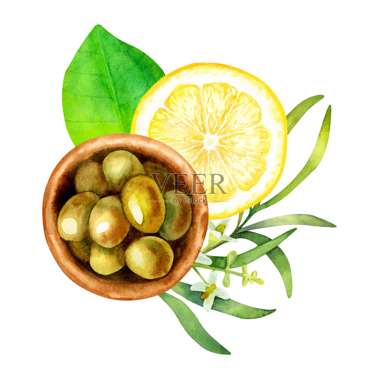水彩插画，描绘了一个装有绿色橄榄、柠檬和橄榄枝的碗，背景为白色。插画图片素材