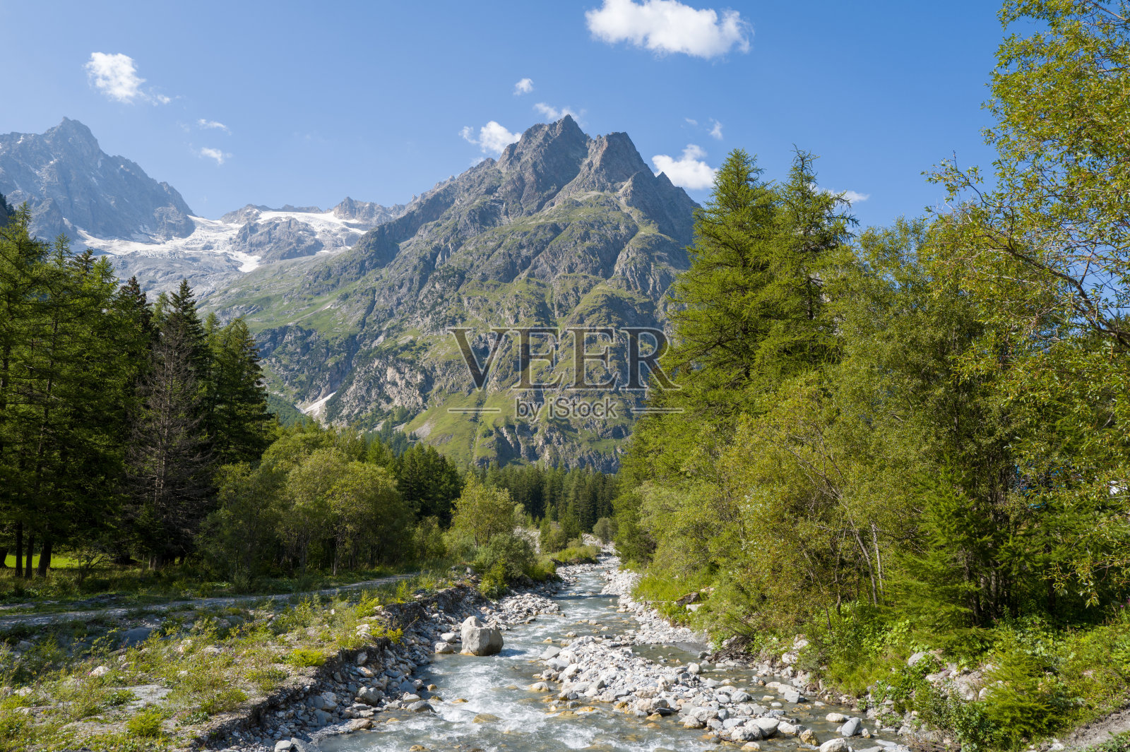 一条阿尔卑斯河流经郁郁葱葱的绿色山谷蜿蜒而过照片摄影图片