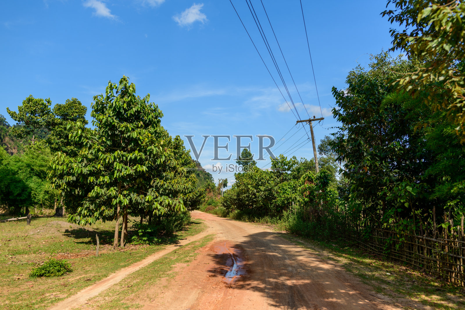 老挝乡村的红色泥土路和电线照片摄影图片
