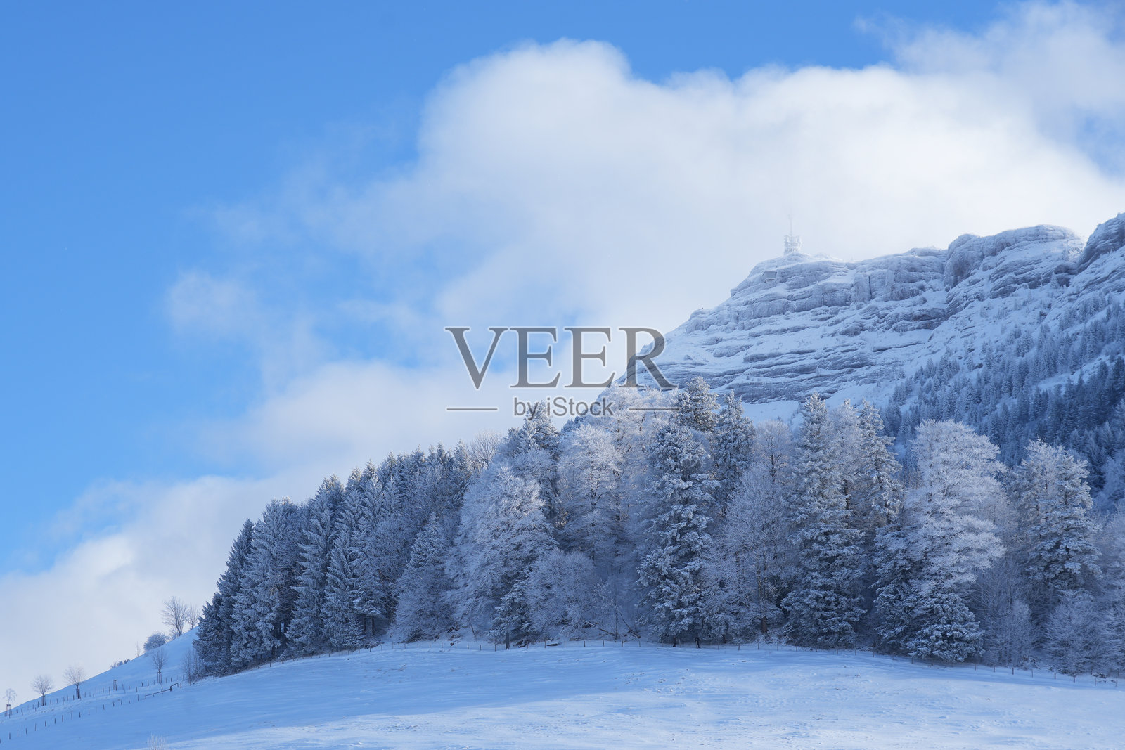 白雪皑皑的山峰，前景是结霜的树木，在明亮的蓝天下，构成一幅宁静的自然之美和安详的冬季景观照片摄影图片