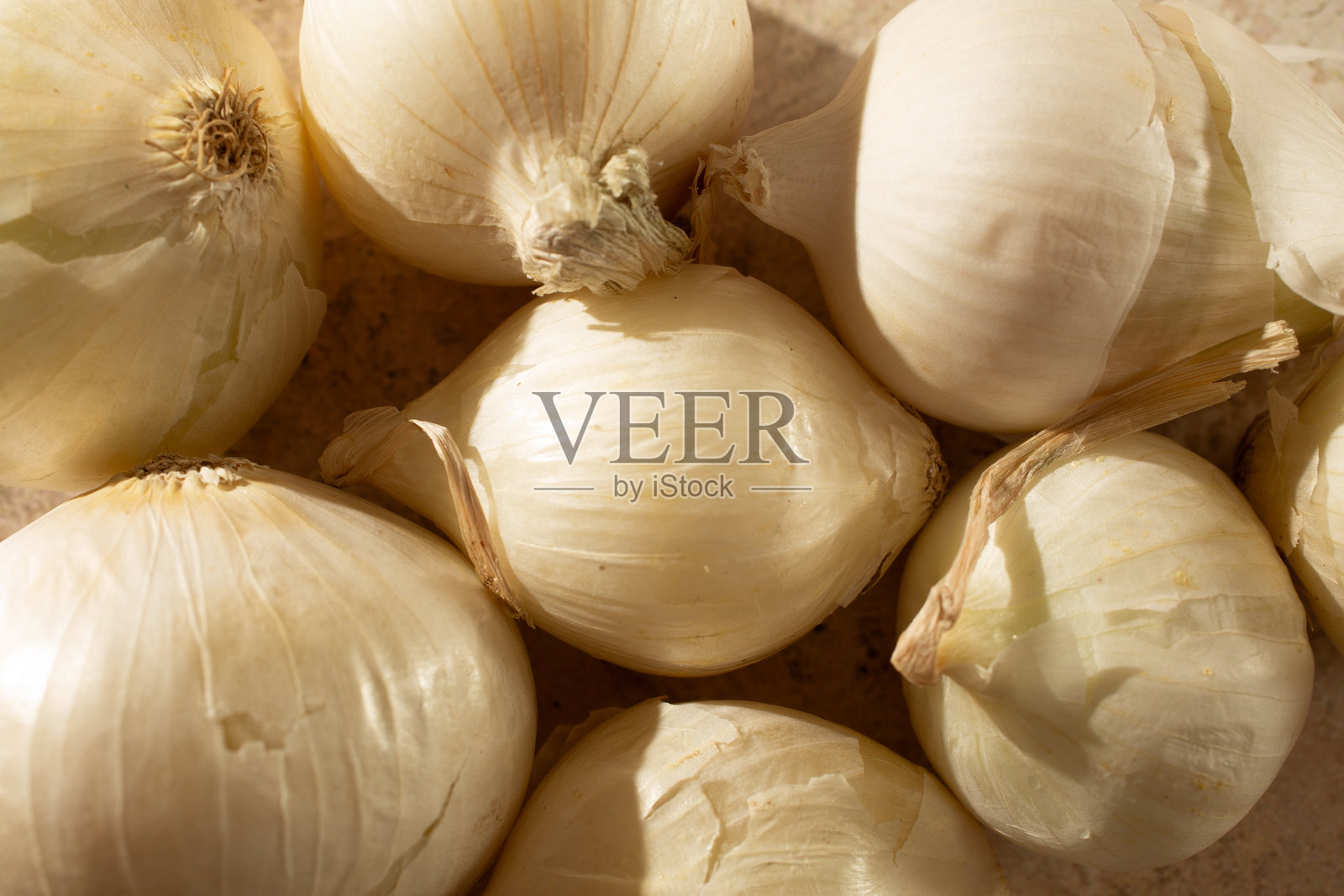 白色洋葱照片摄影图片