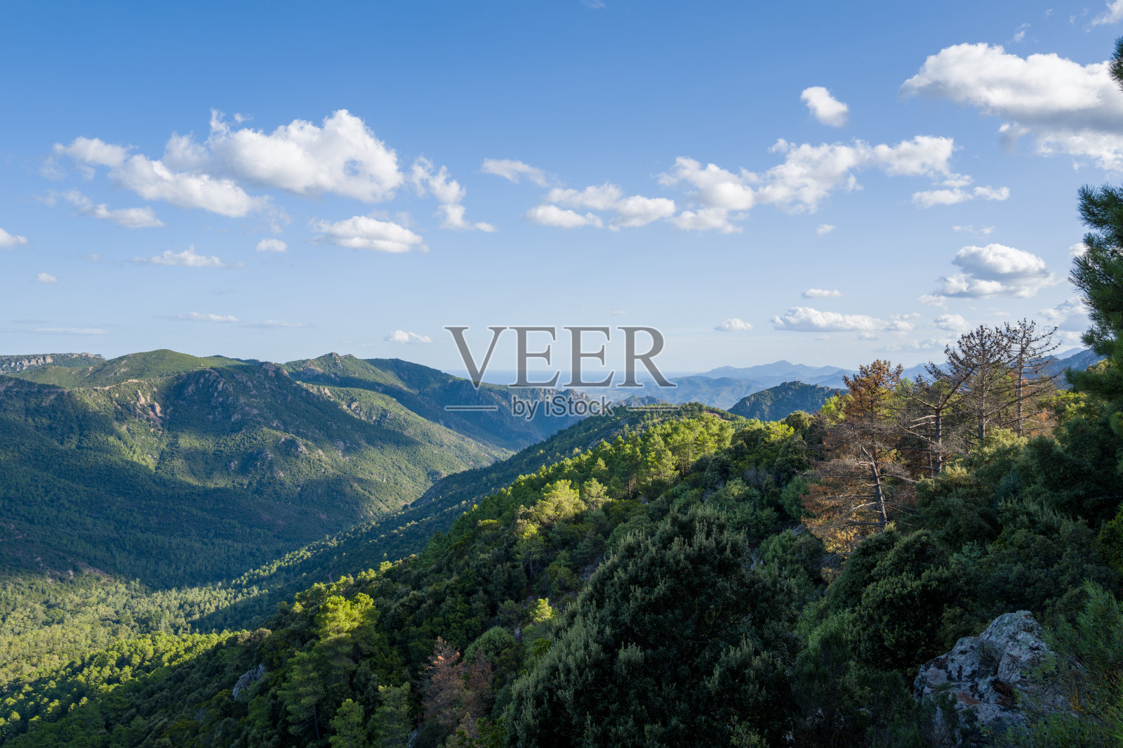 撒丁岛郁郁葱葱的山脉，远眺大海照片摄影图片