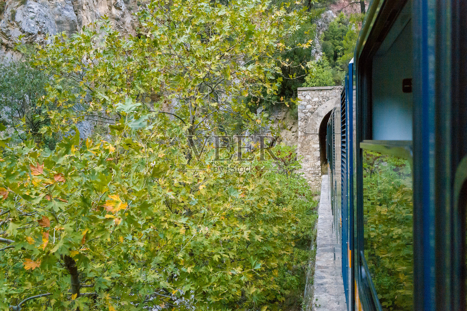 火车驶入葱郁峡谷中的石砌隧道照片摄影图片