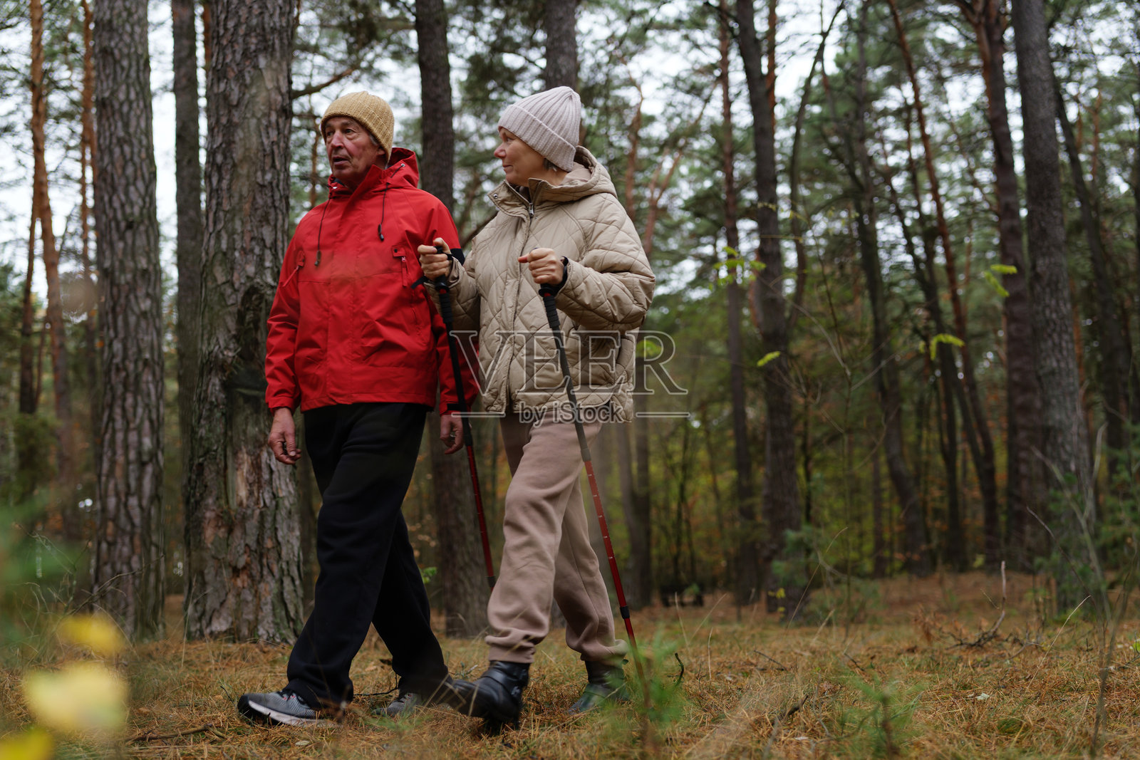 两个人一起在森林里行走，使用登山杖。他们穿着保暖的衣服，周围是树木和秋叶。照片摄影图片