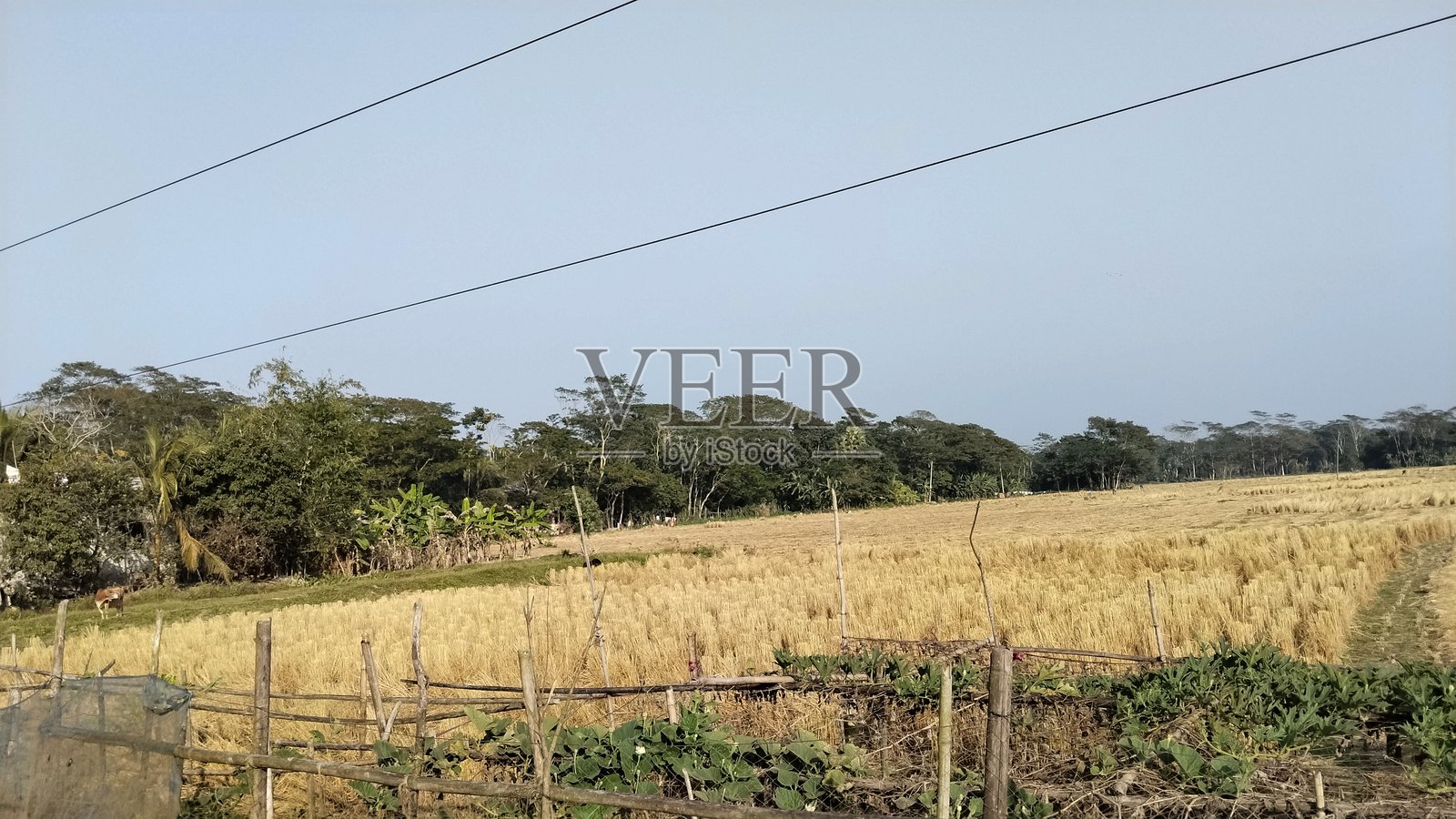 好地方照片摄影图片