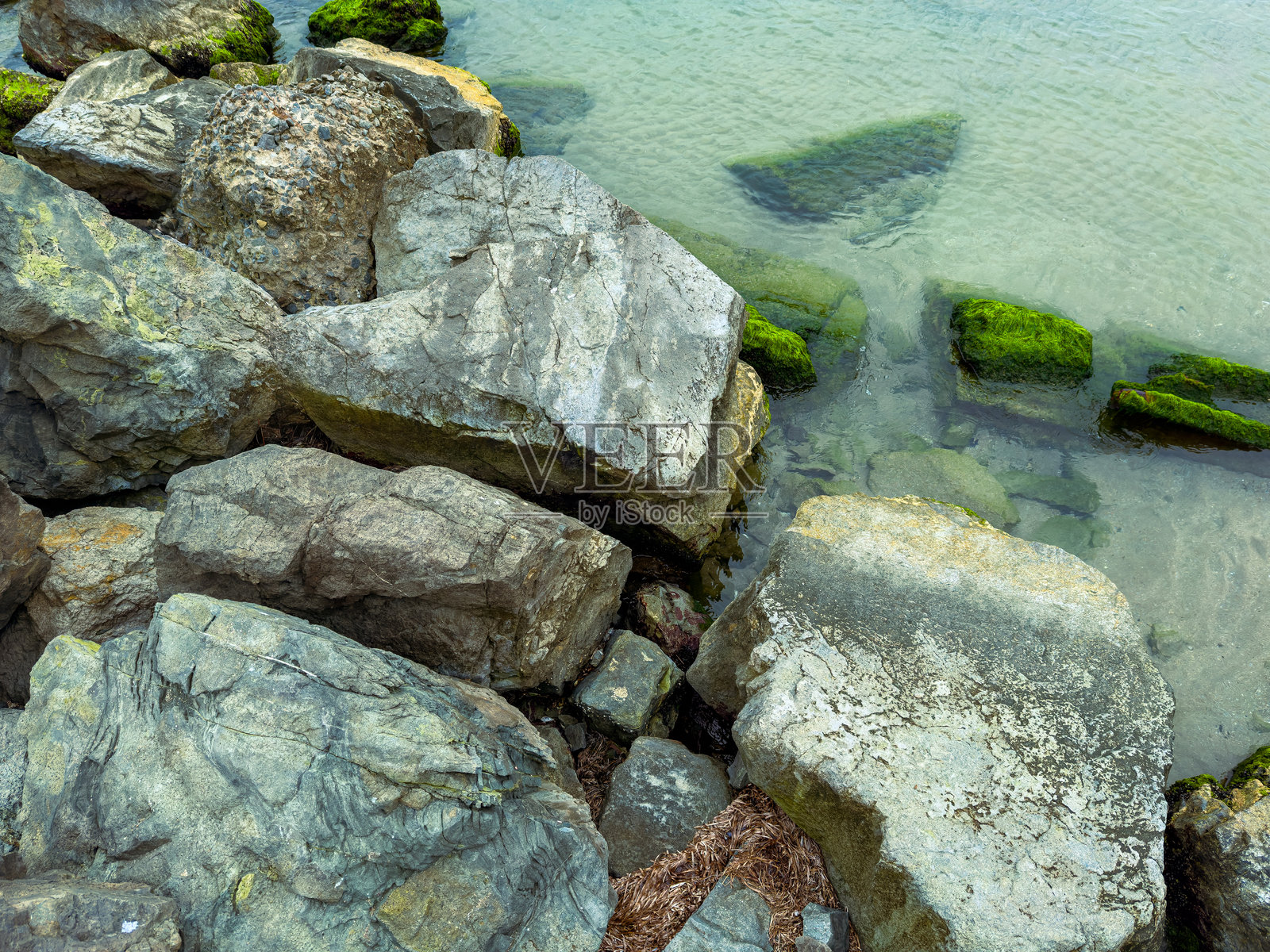 退潮时探索岩石海岸，在平静的水域和茂密的绿色苔藓中发现大自然的隐藏之美照片摄影图片