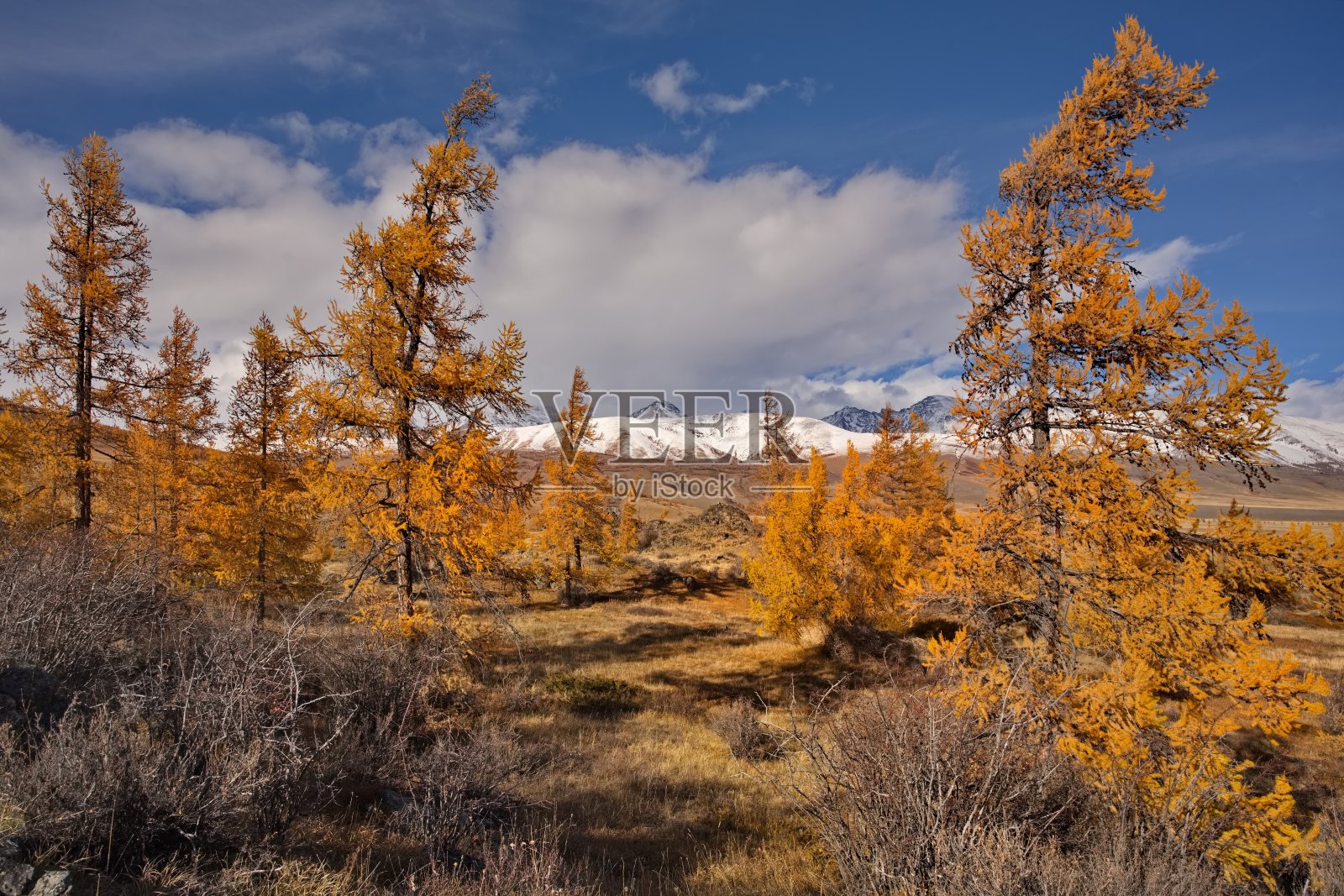 石匠的孤独照片摄影图片