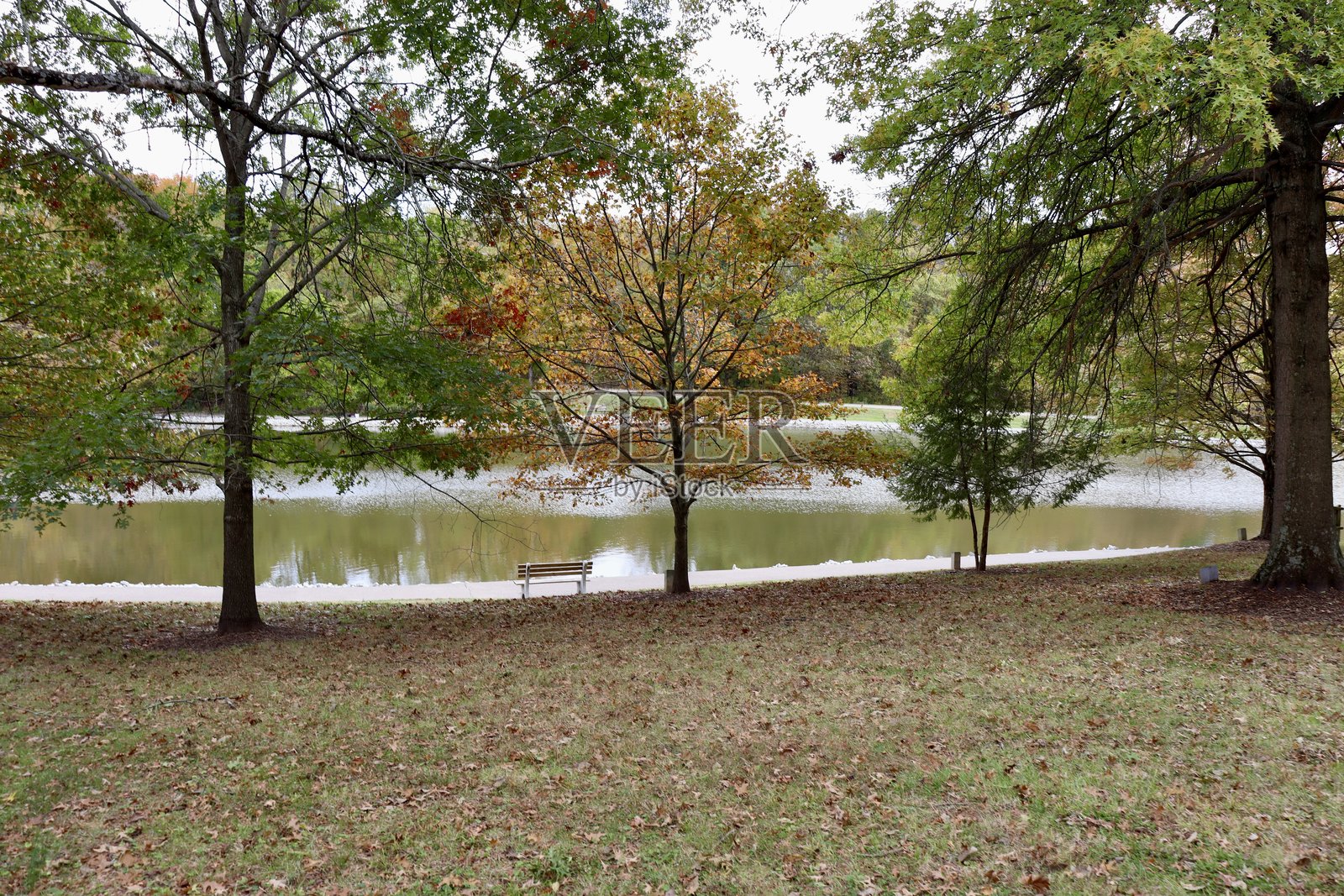 乡村公园照片摄影图片