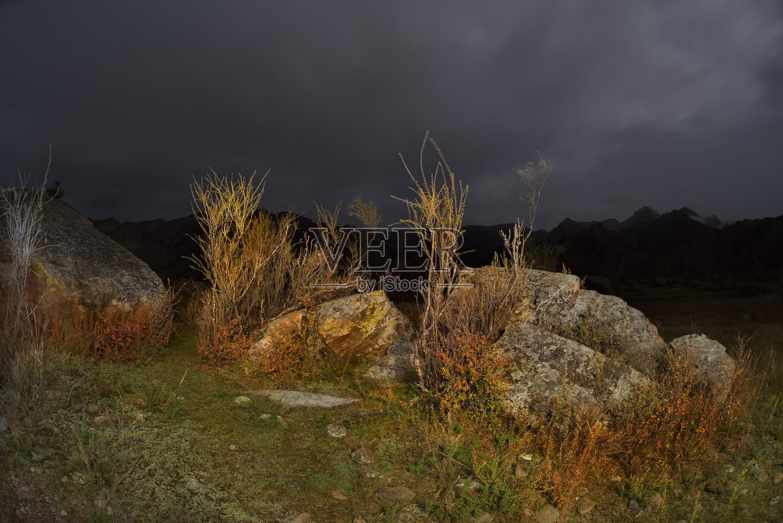 阿尔泰山上的满月之夜照片摄影图片