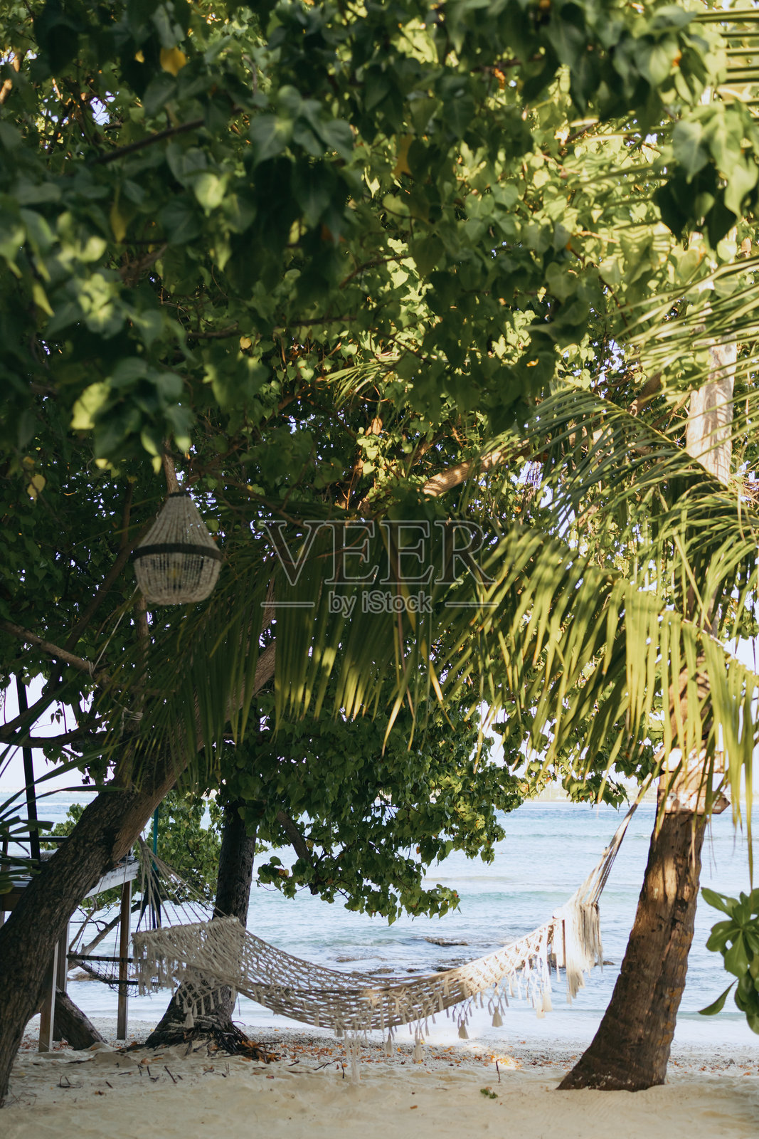 马尔代夫岛屿照片摄影图片