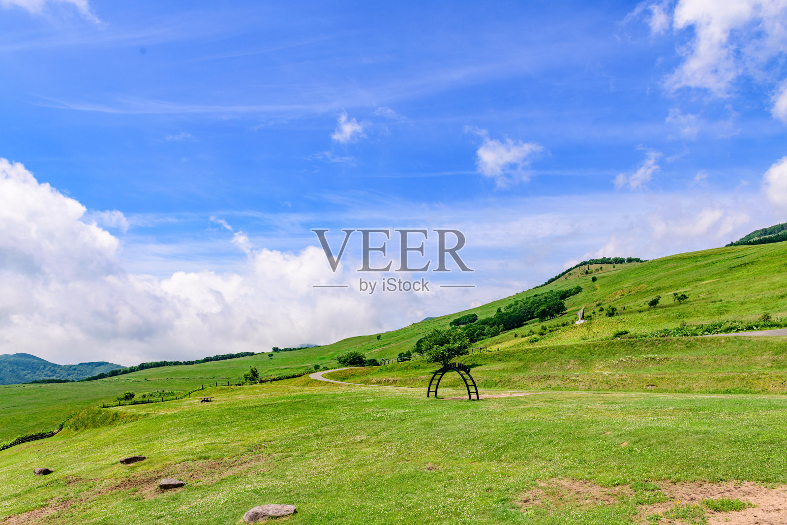 蓝天下的内泰高地牧场照片摄影图片