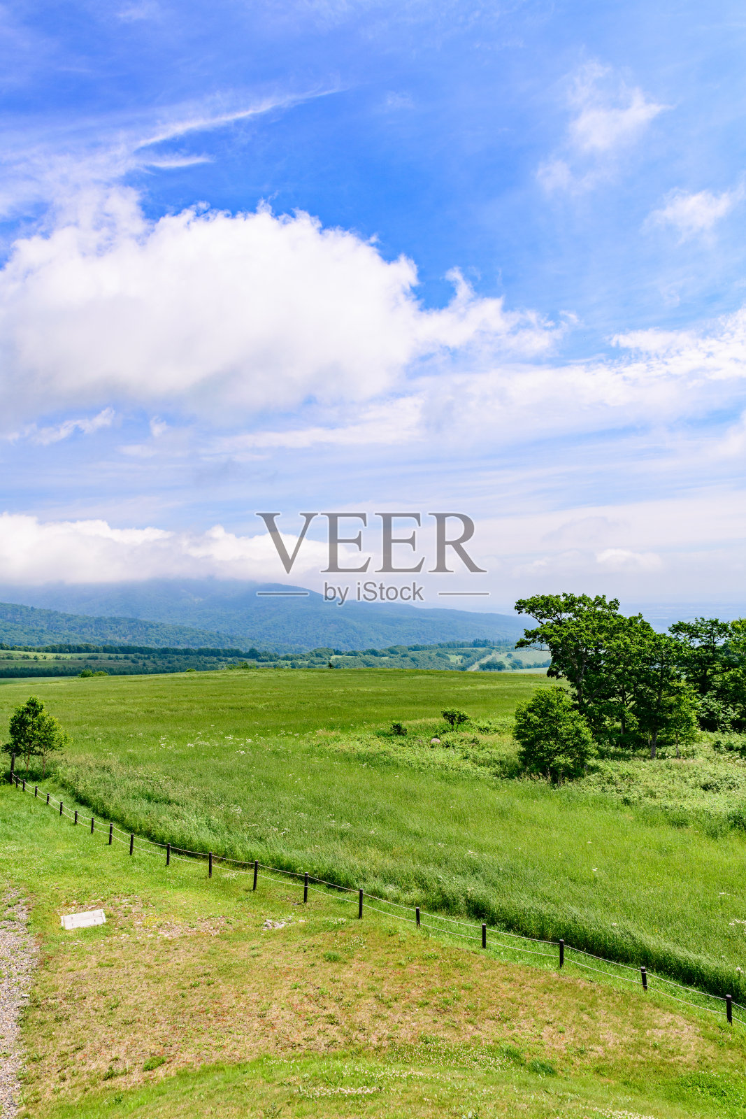 蓝天下的内泰高地牧场照片摄影图片
