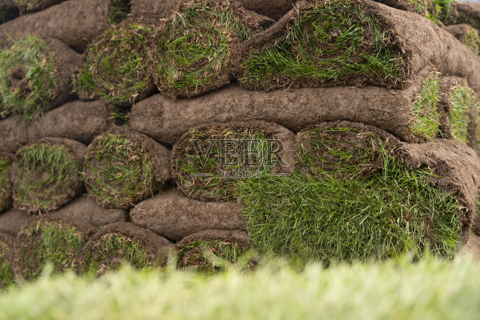 园艺用已种植的草皮卷，准备好铺设照片摄影图片