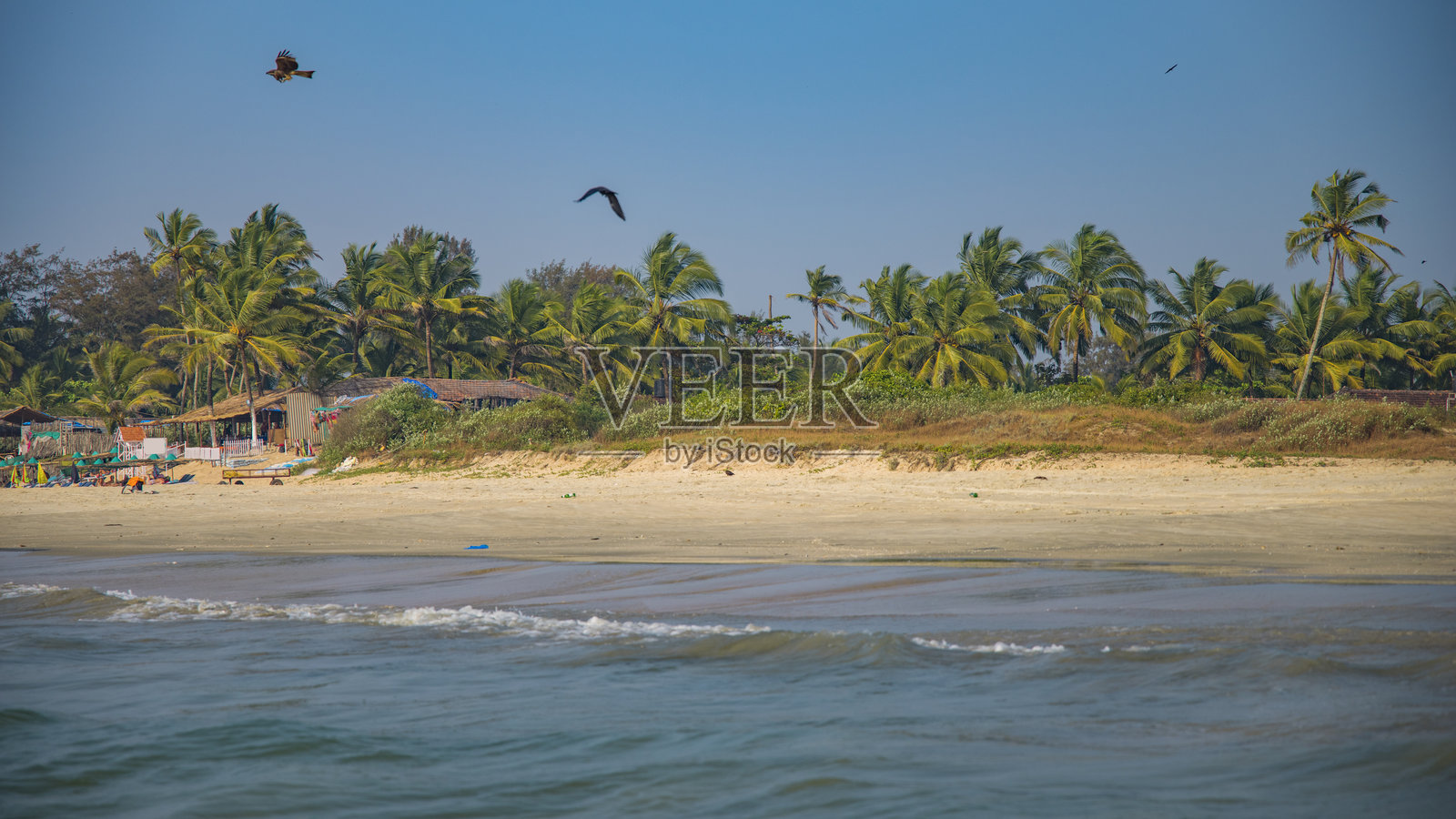 印度果阿邦的海滩照片摄影图片