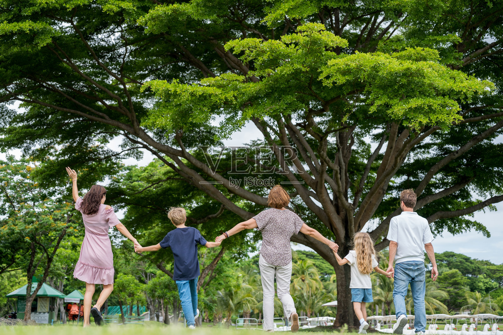 快乐的家庭父母和孩子在户外进行野餐活动。享受夏日一起玩耍的幸福时刻，包括父亲、母亲、儿子和女儿在晨曦中放松。照片摄影图片